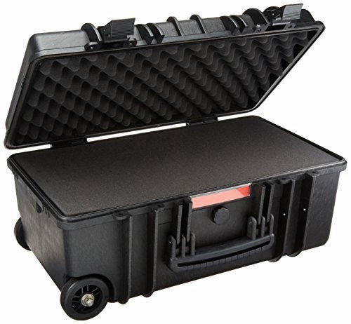 Amazonbasics Hard Camera Case - Large