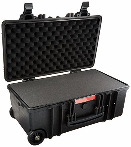 Amazonbasics Hard Camera Case - Large