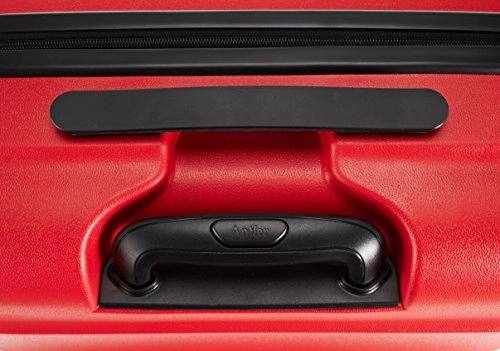 Antler Juno 4w Medium Case