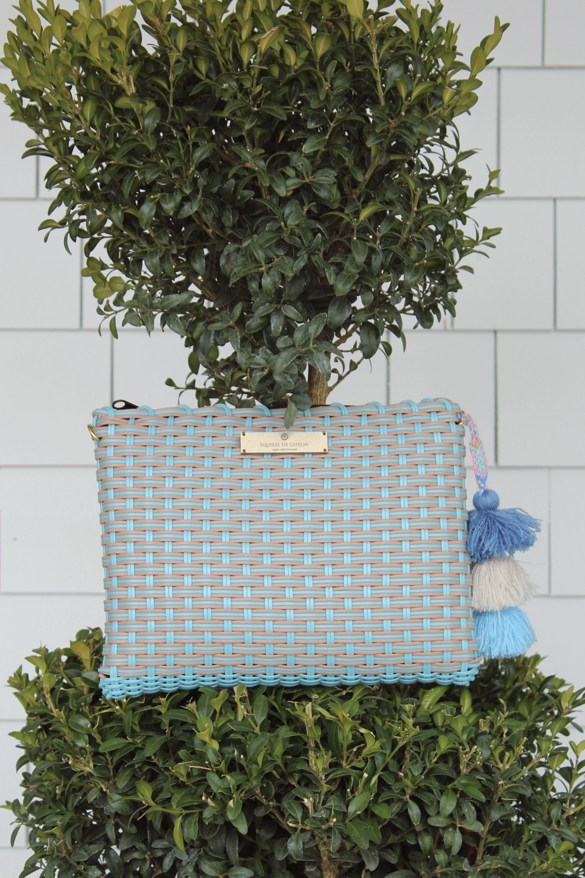 Blue Robin Nest Lemon Drop Citron - Large
