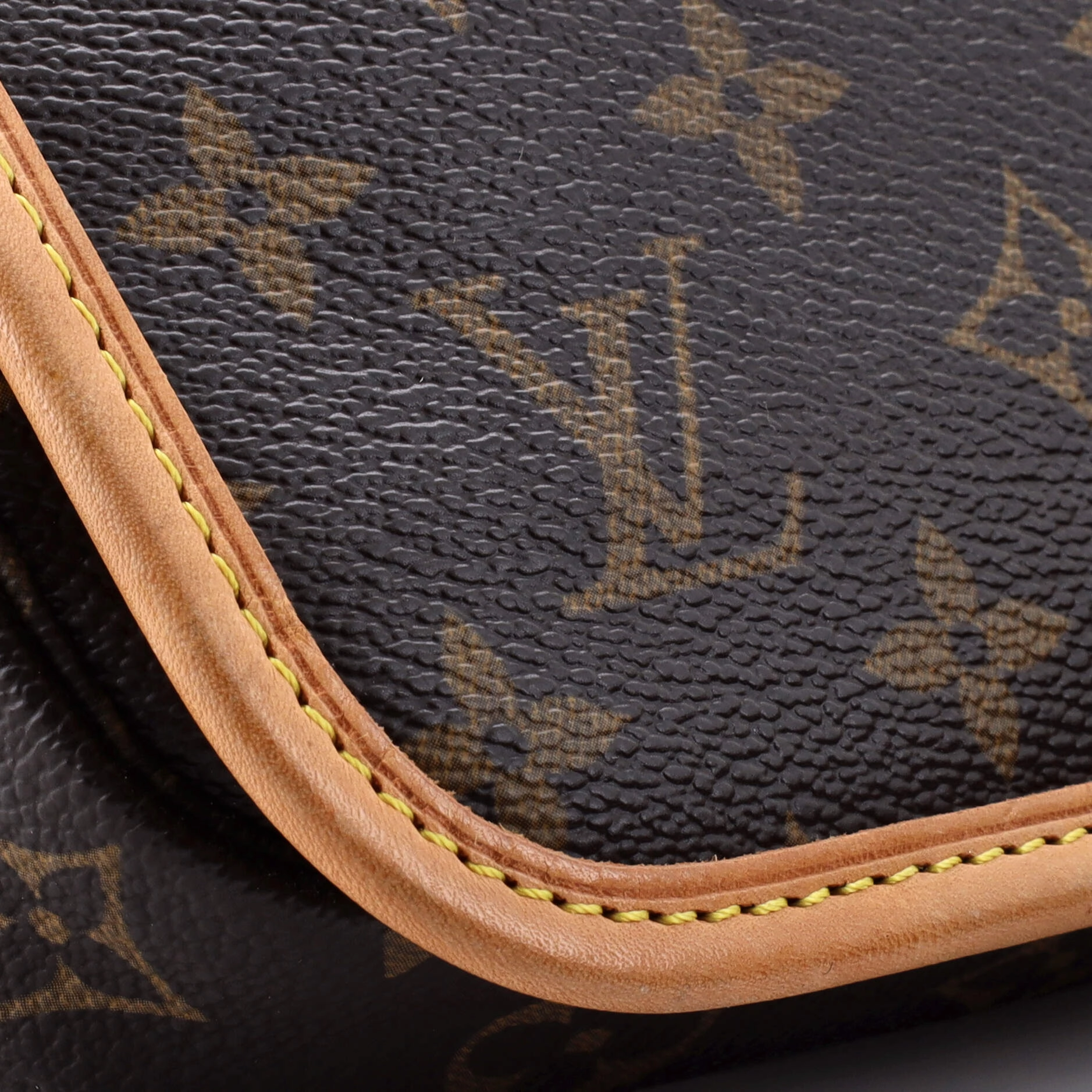 Bosphore Waist Bag Monogram Canvas