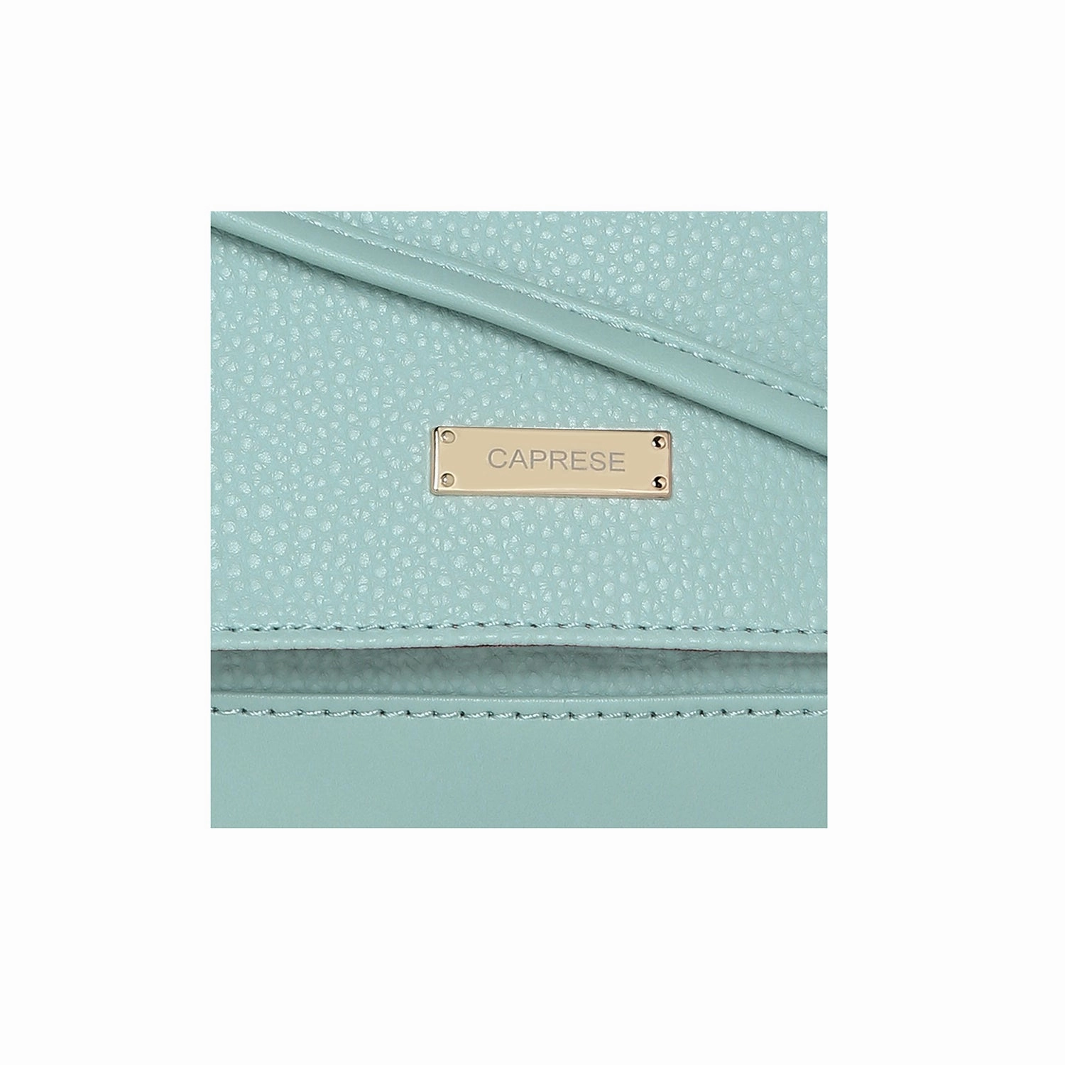 Caprese Aura Small Sling Bag