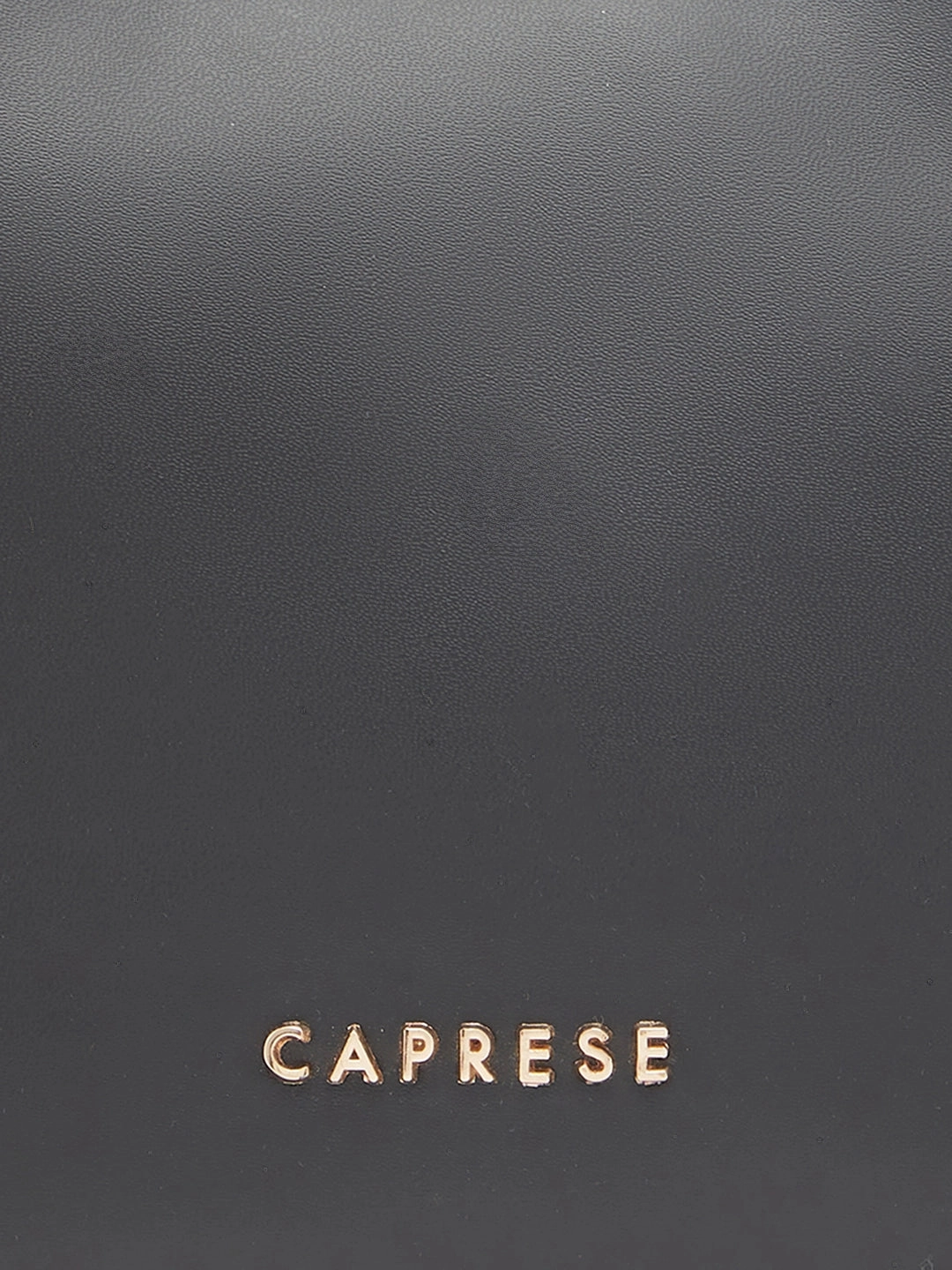 Caprese Olbia Medium Black Hobo Bag