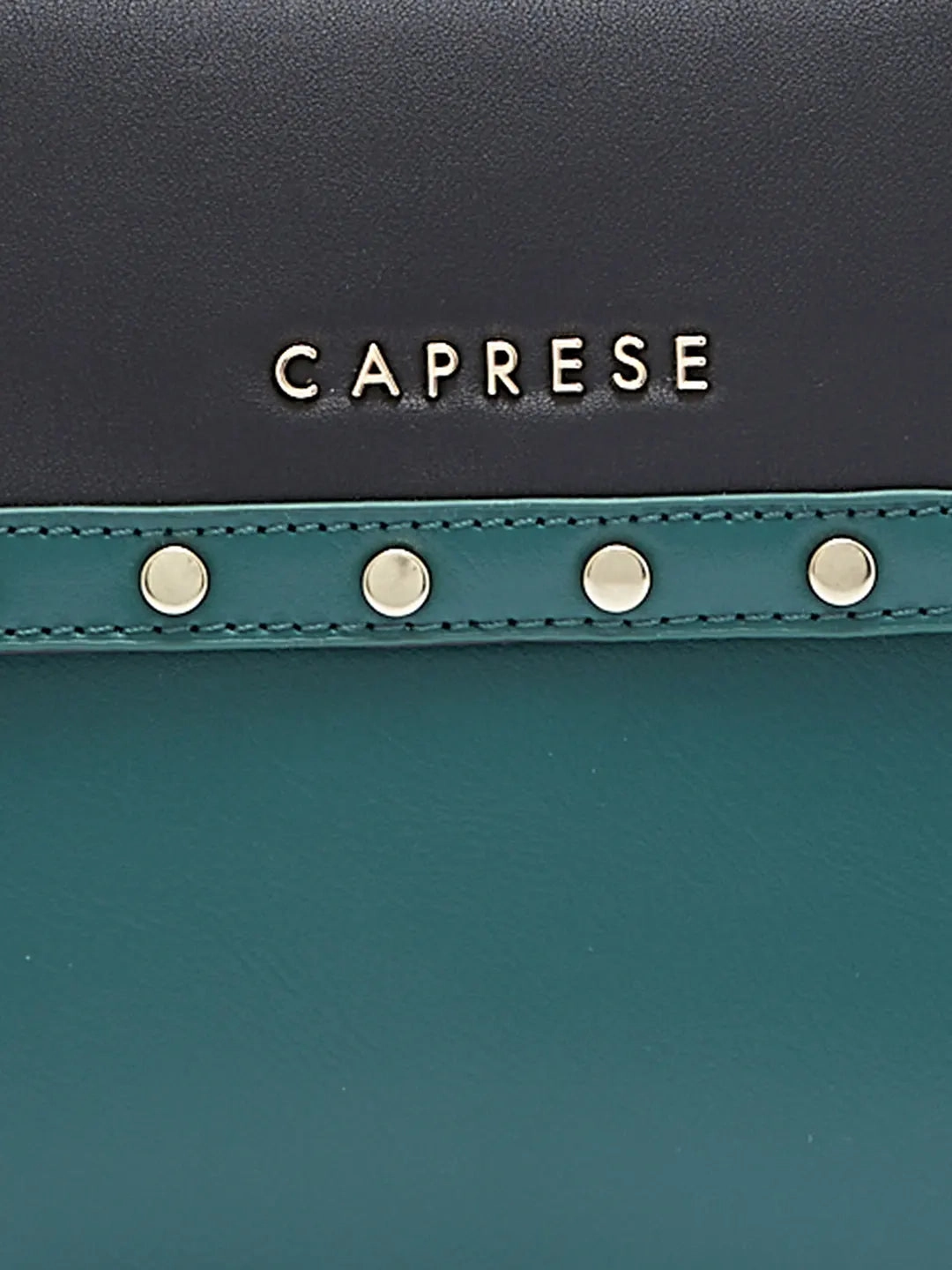 Caprese Shelby Medium Black Sling Bag
