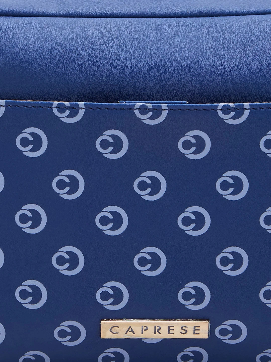 Caprese Siesta Small Navy Sling Bag