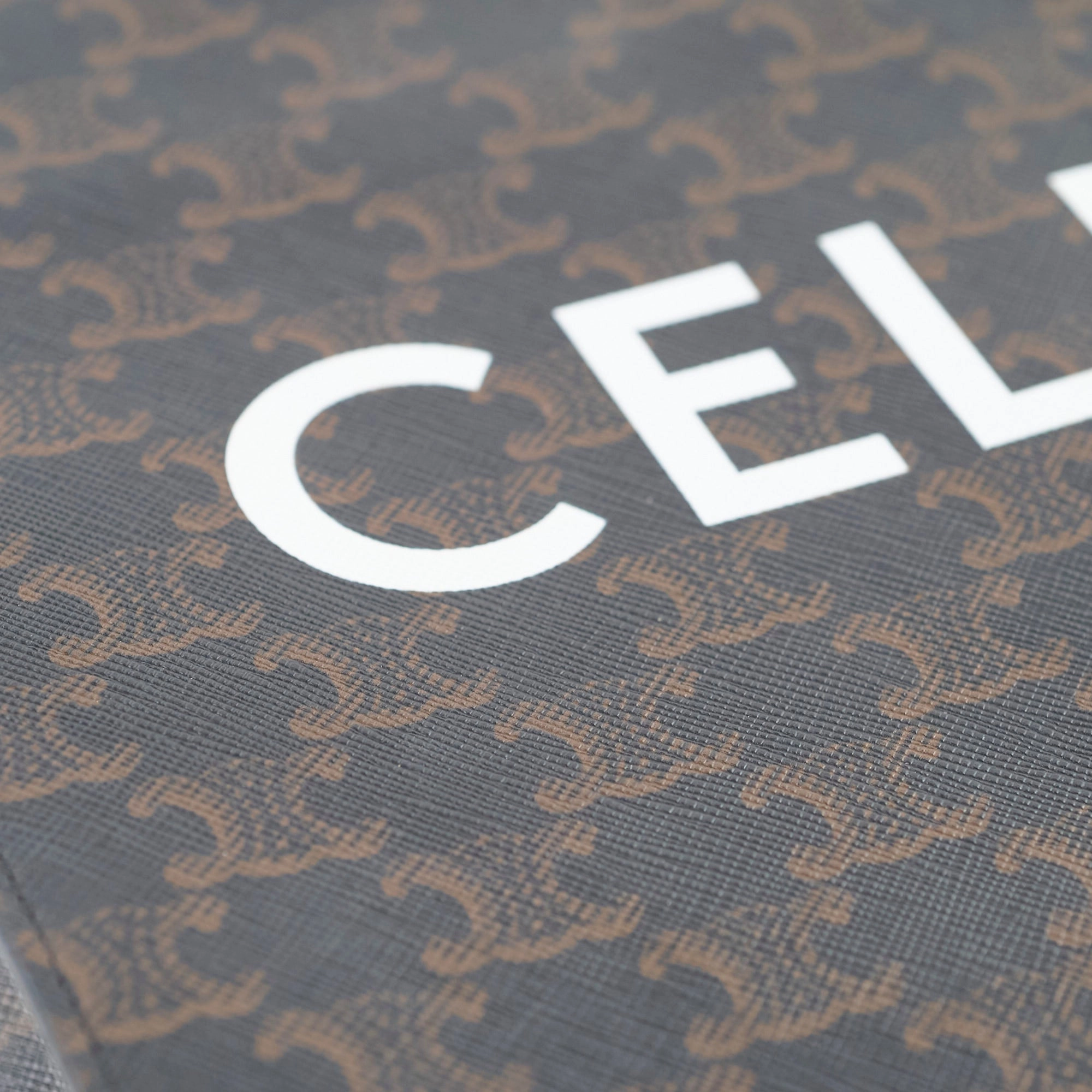 Celine Vertical Cabas Canvas Tote Brown