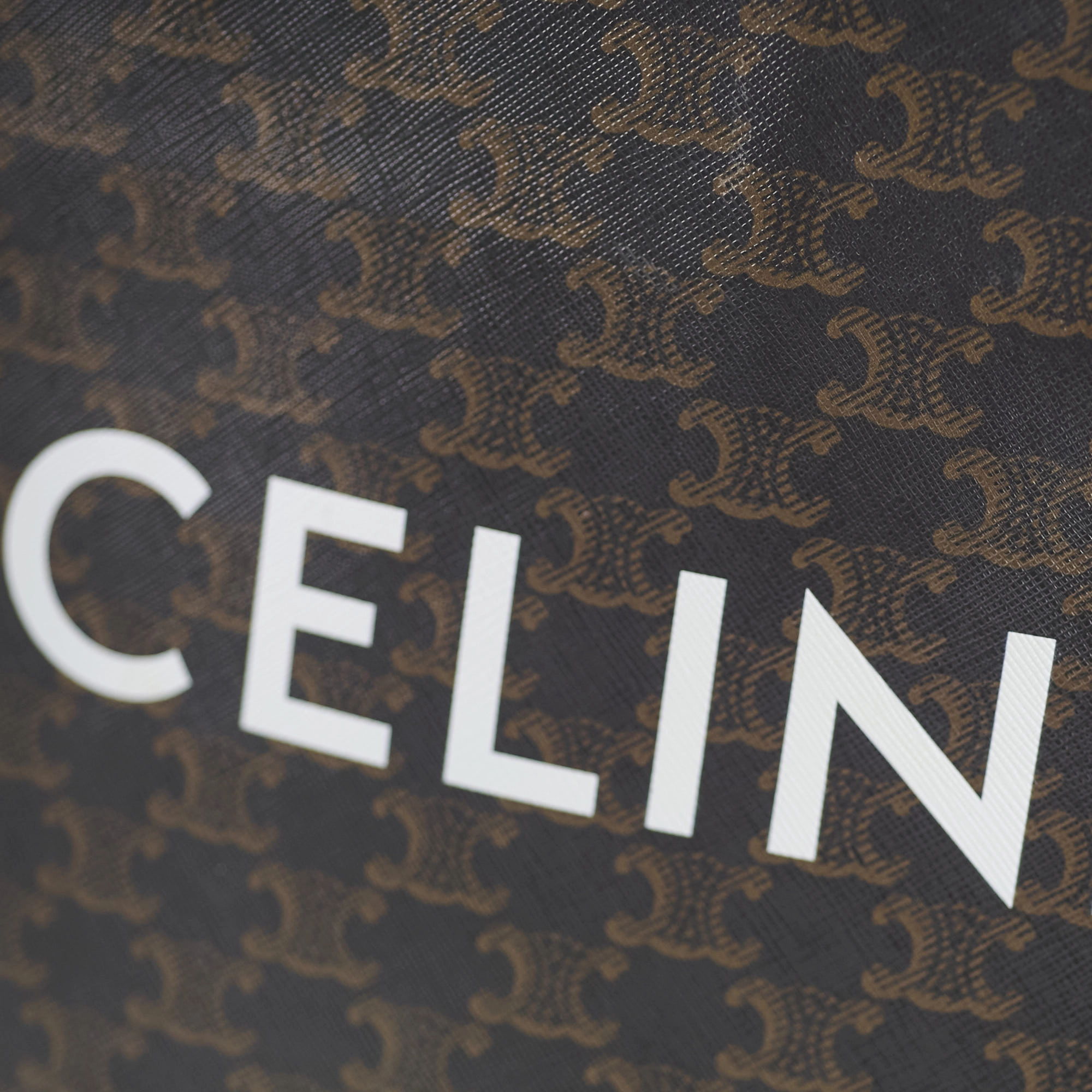 Celine Vertical Cabas Triomphe Canvas Tote with Celine Print