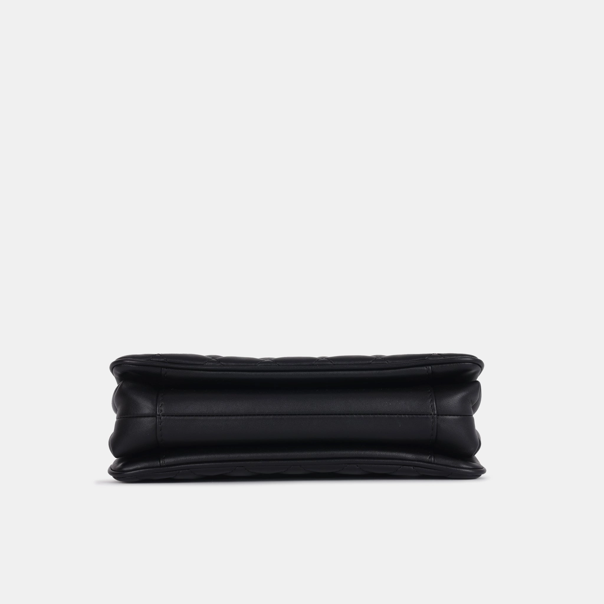 Chanel Daily Companion Flap