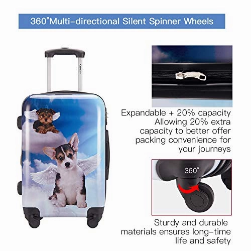 Chariot Luggage Light Weight PC ABS Spinner Suitcase Sets 20/24/28inch TSA Lock Available Dream
