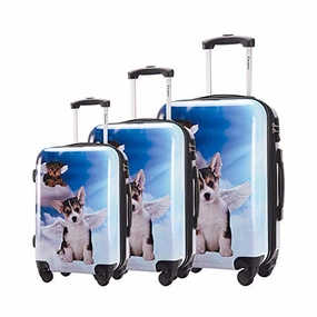 Chariot Luggage Light Weight PC ABS Spinner Suitcase Sets 20/24/28inch TSA Lock Available Dream