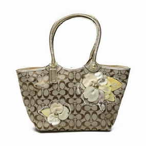 Coach   Canvas Tote Bag (Pre-Owned)