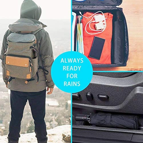 Compact Folding Travel Umbrella Windproof Waterproof,Winter,Auto Open Close Umbrella 42 Inch,Icy