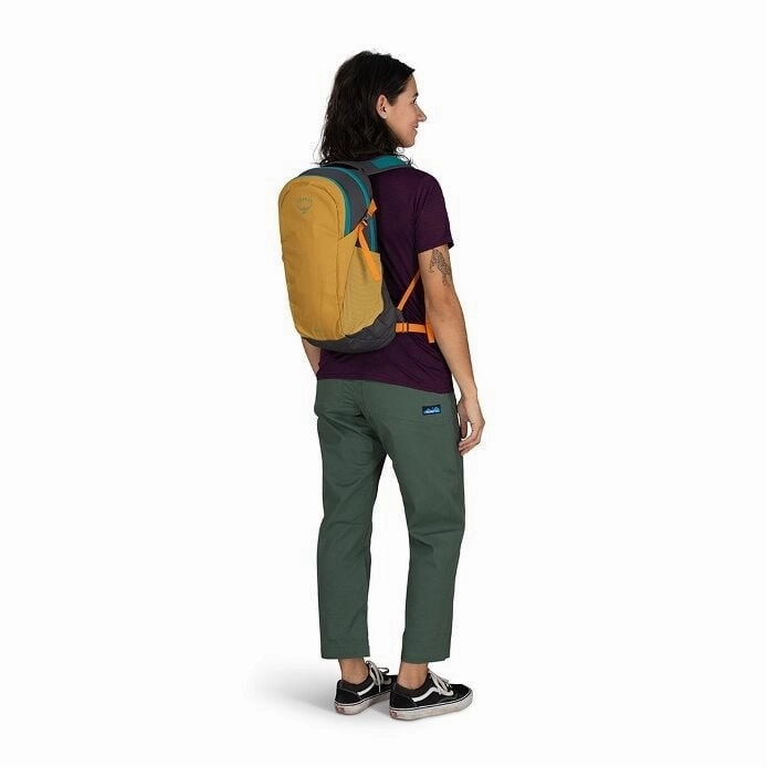 Daylite Backpack