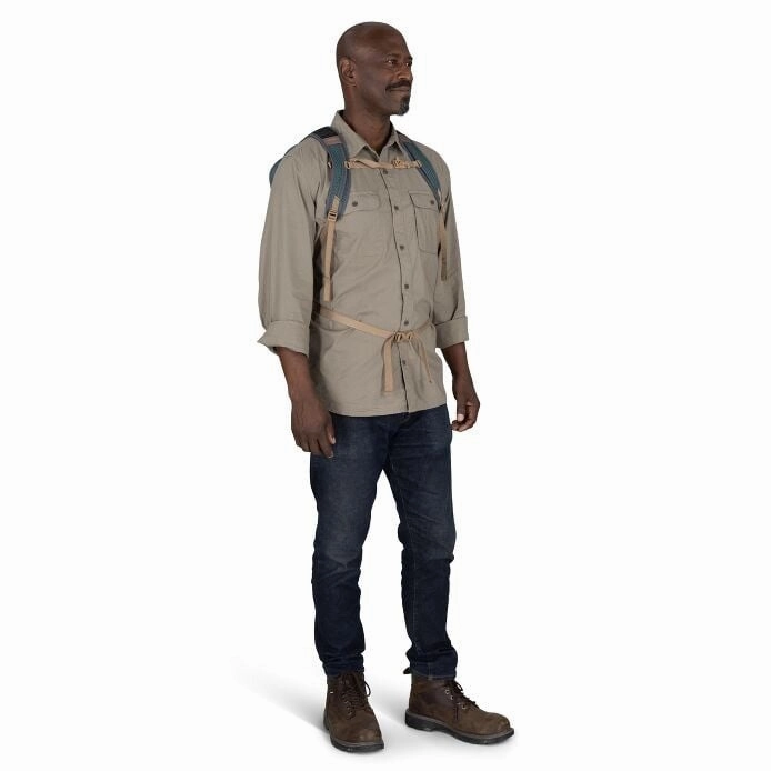 Daylite Plus