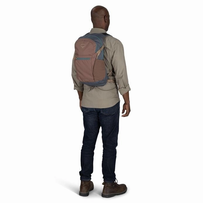 Daylite Plus