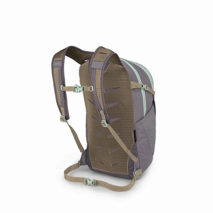 Daylite Plus