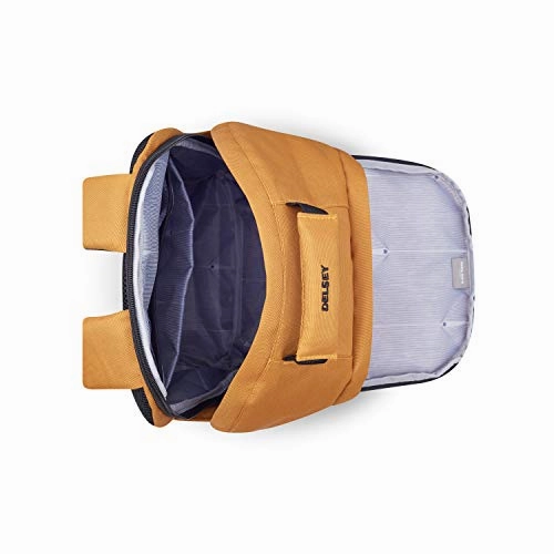 DELSEY Paris Securban Backpack (13.3" Laptop), Yellow