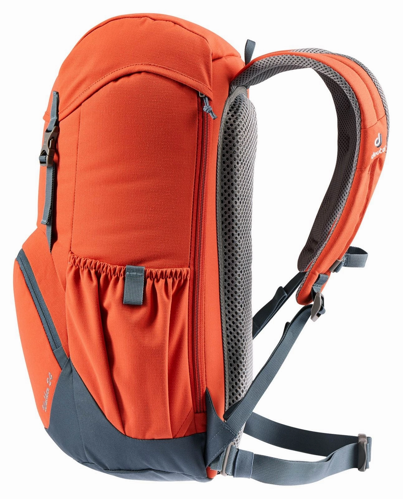 Deuter Walker 24 Backpack