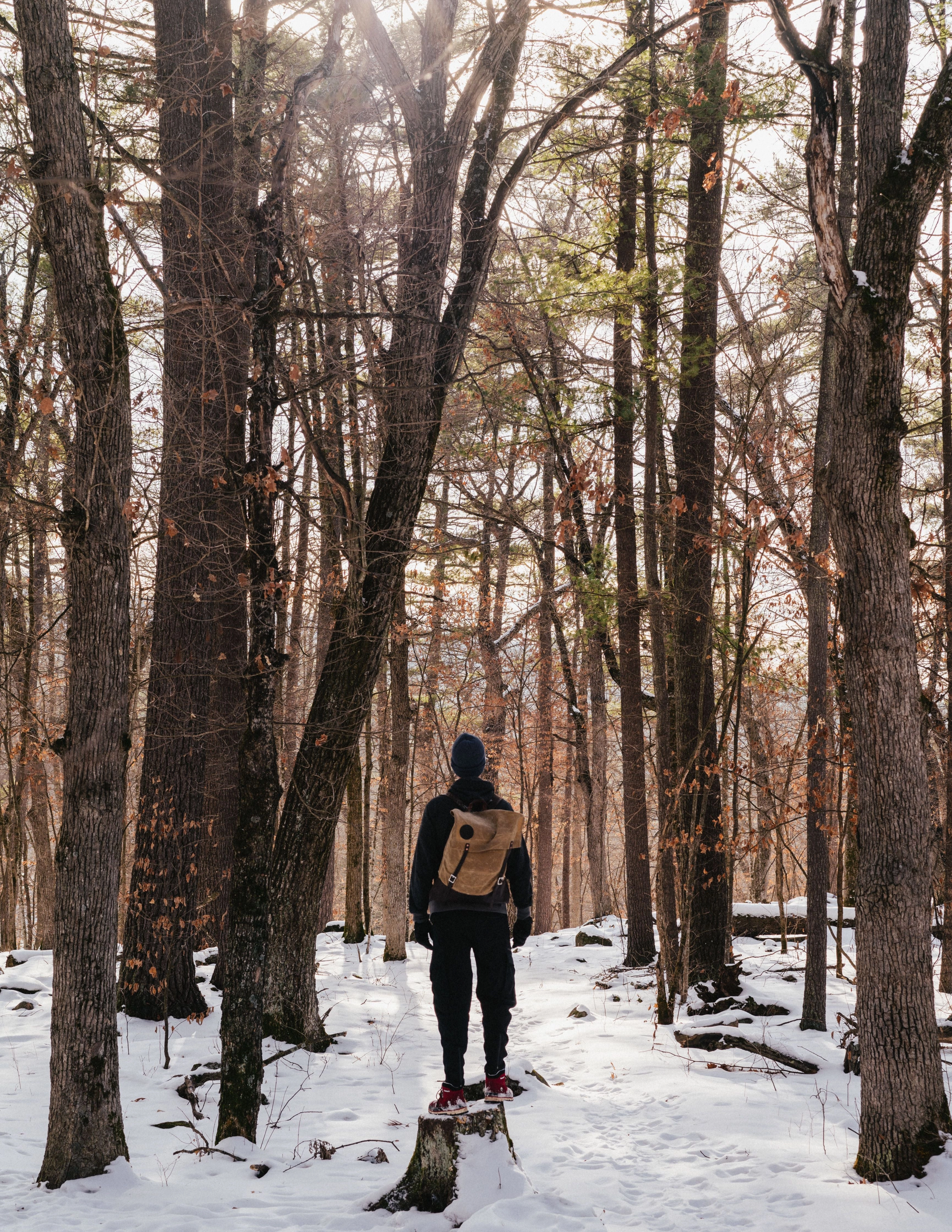 Duluth Pack Scout Deluxe Pack