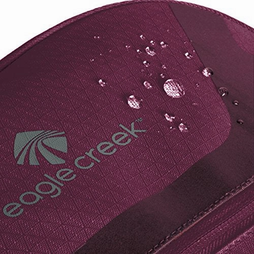 Eagle Creek Gear Wrior AWD 20 Inch Intnatinal Crry-on Lug, Concord