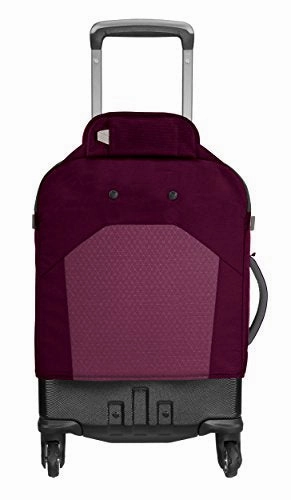 Eagle Creek Gear Wrior AWD 20 Inch Intnatinal Crry-on Lug, Concord