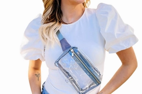 Ferris Clear Belt Bag In Gray