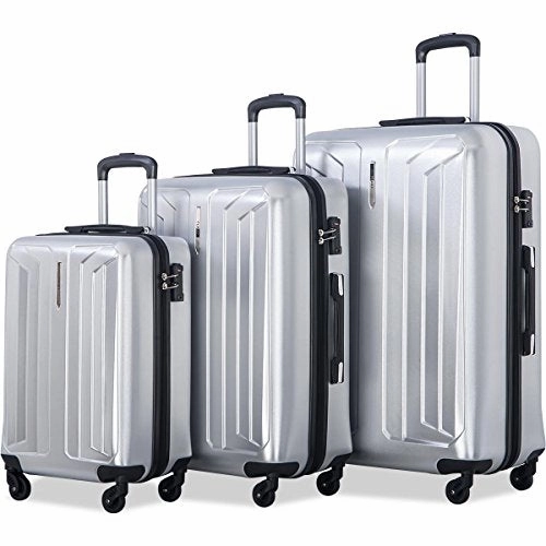 Flieks 3 Piece Luggage Set Spinner Suitcase - TSA Approved - High/Low Temperature Resistance - 20/24/28in (Silver)