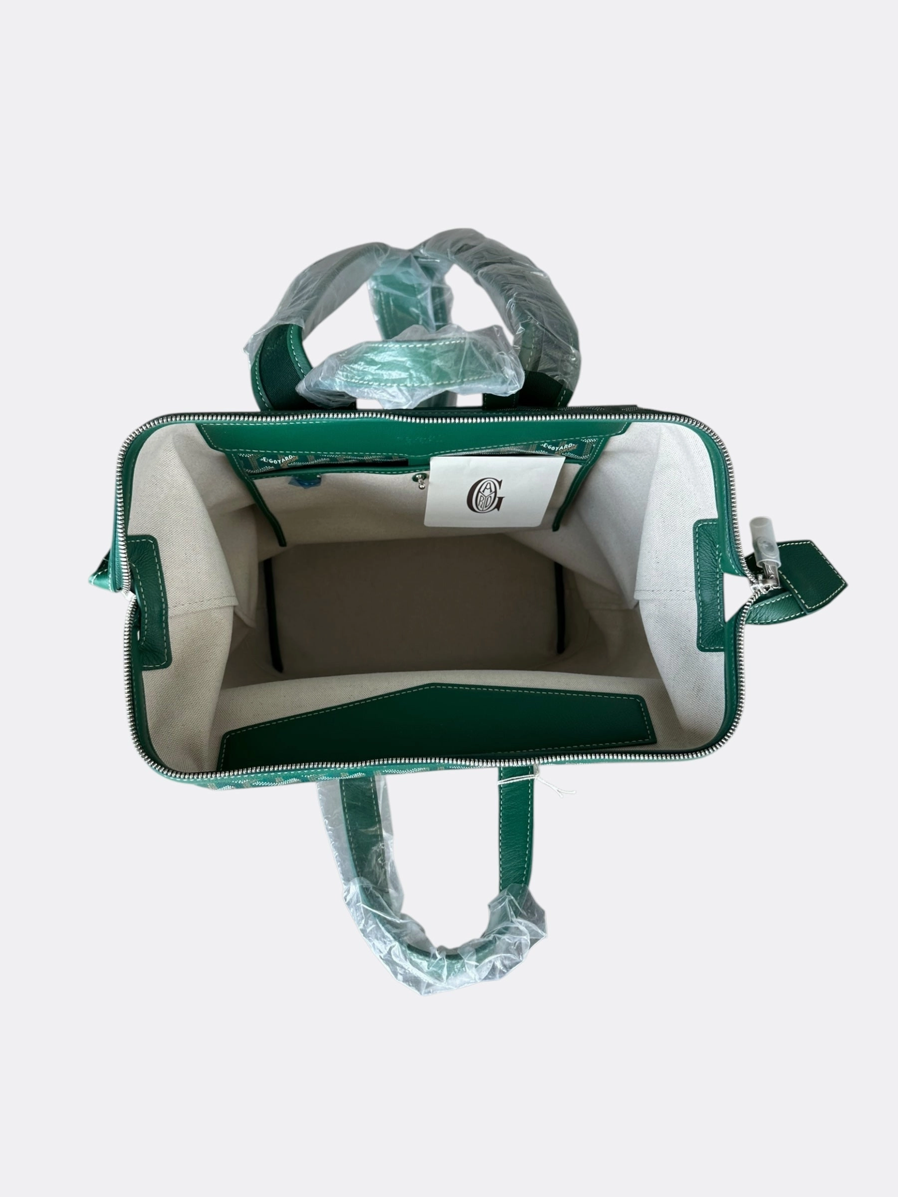 Goyard Green Cisalpin Backpack