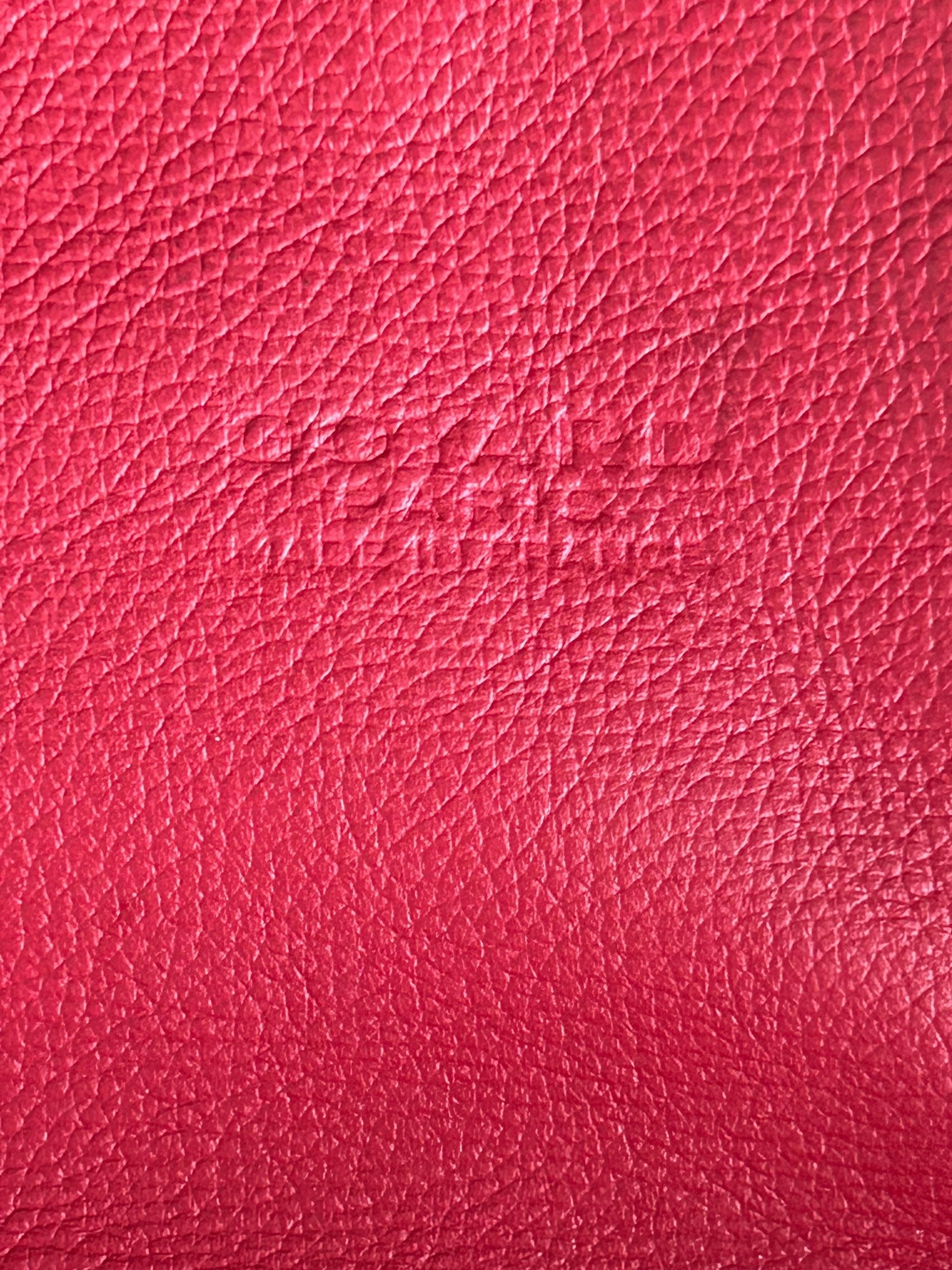 Goyard Red Saint Leger Backpack