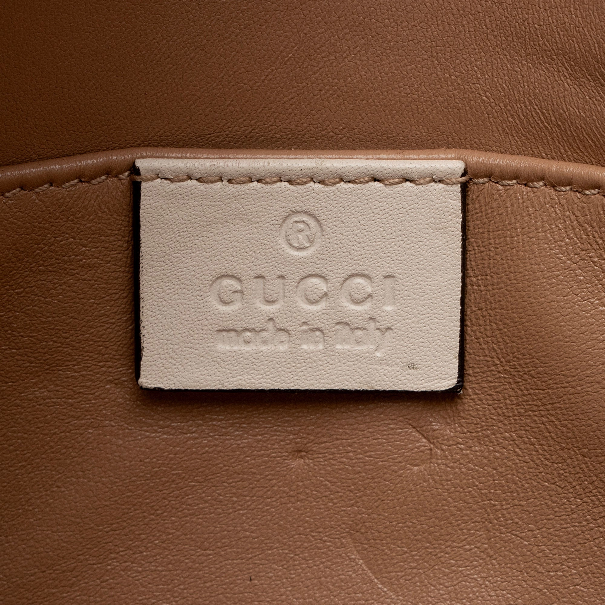 Gucci Calfskin Tiger Broadway Mini Shoulder Bag (SHF-VQsEa9)