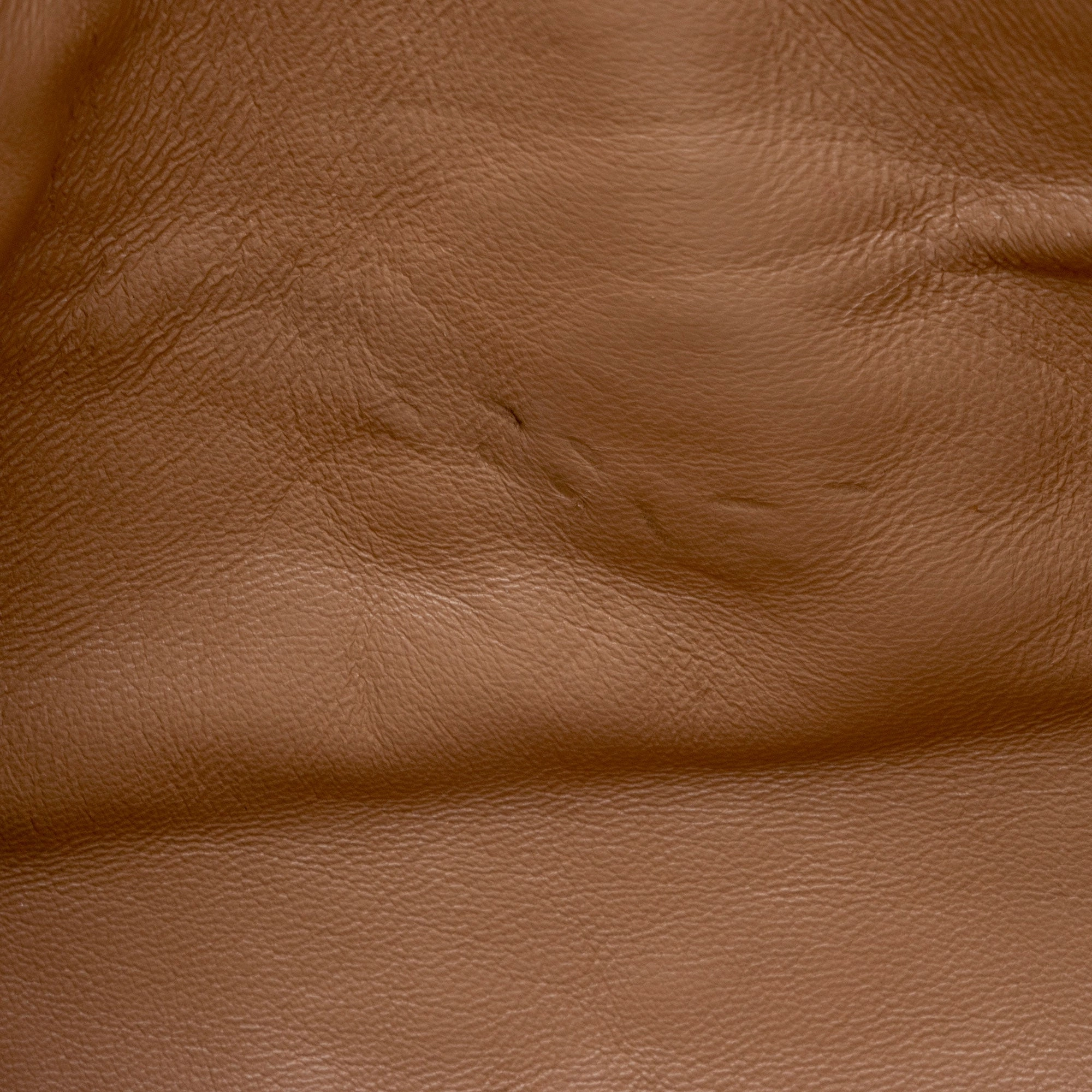 Gucci Calfskin Tiger Broadway Mini Shoulder Bag (SHF-VQsEa9)
