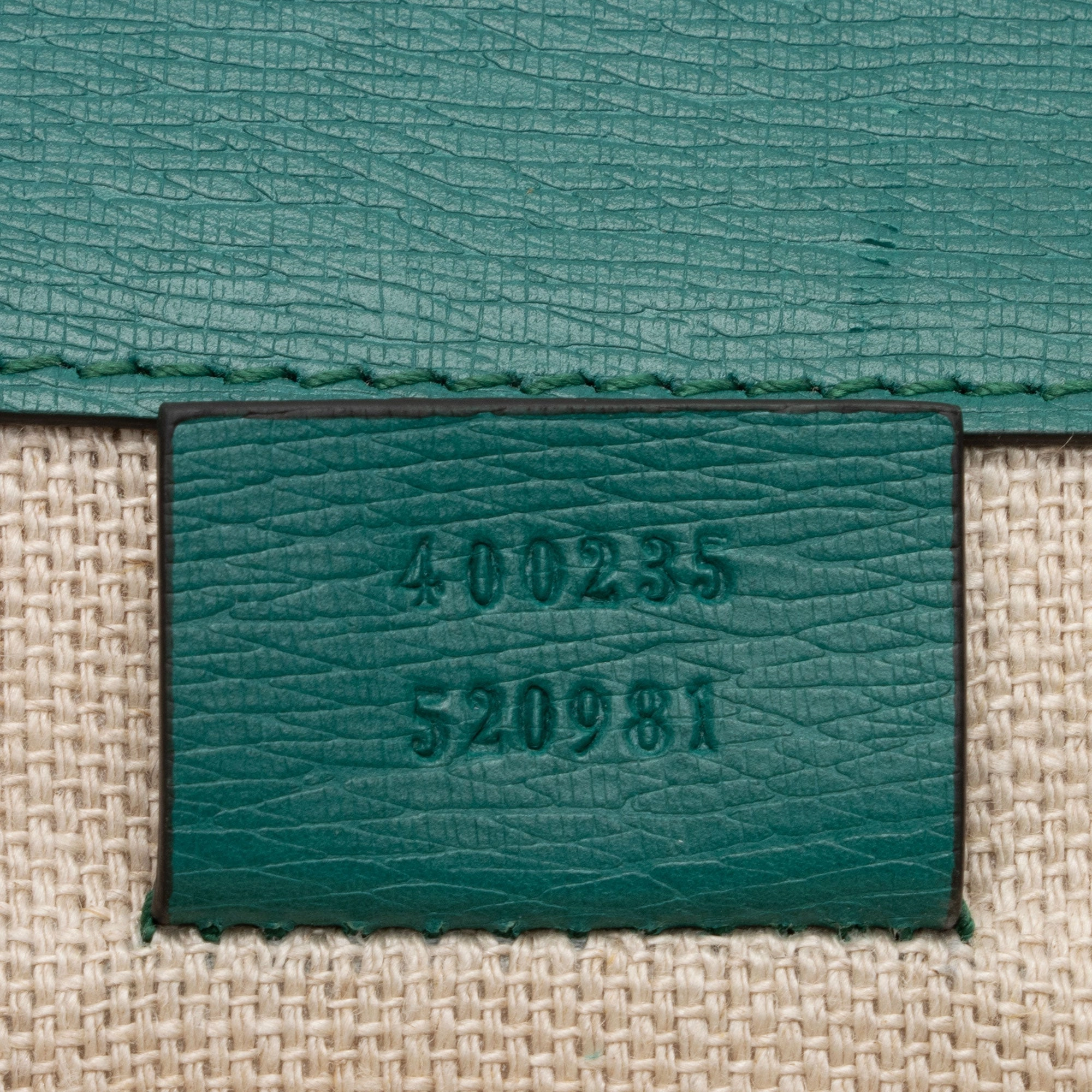 Gucci Leather Blooms Dionysus Medium Shoulder Bag (SHF-9xzCQT)