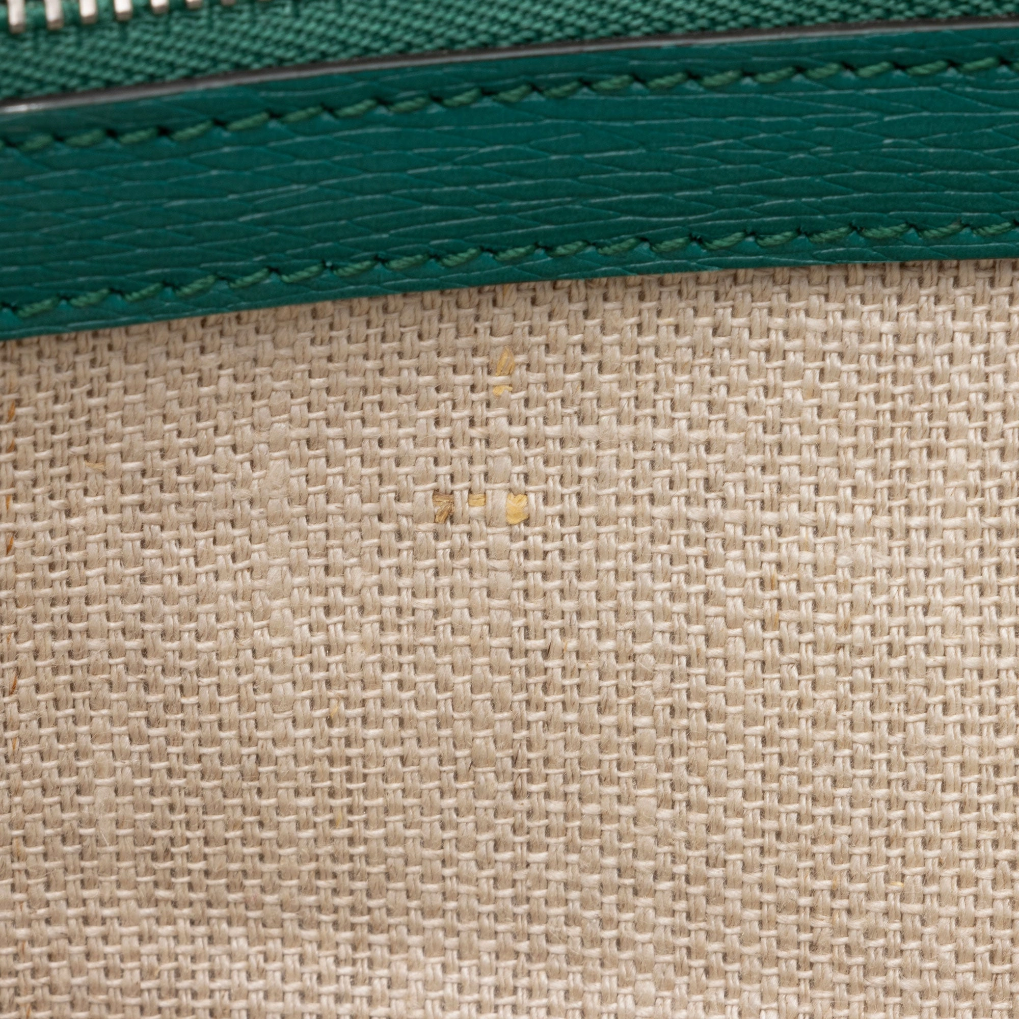 Gucci Leather Blooms Dionysus Medium Shoulder Bag (SHF-9xzCQT)