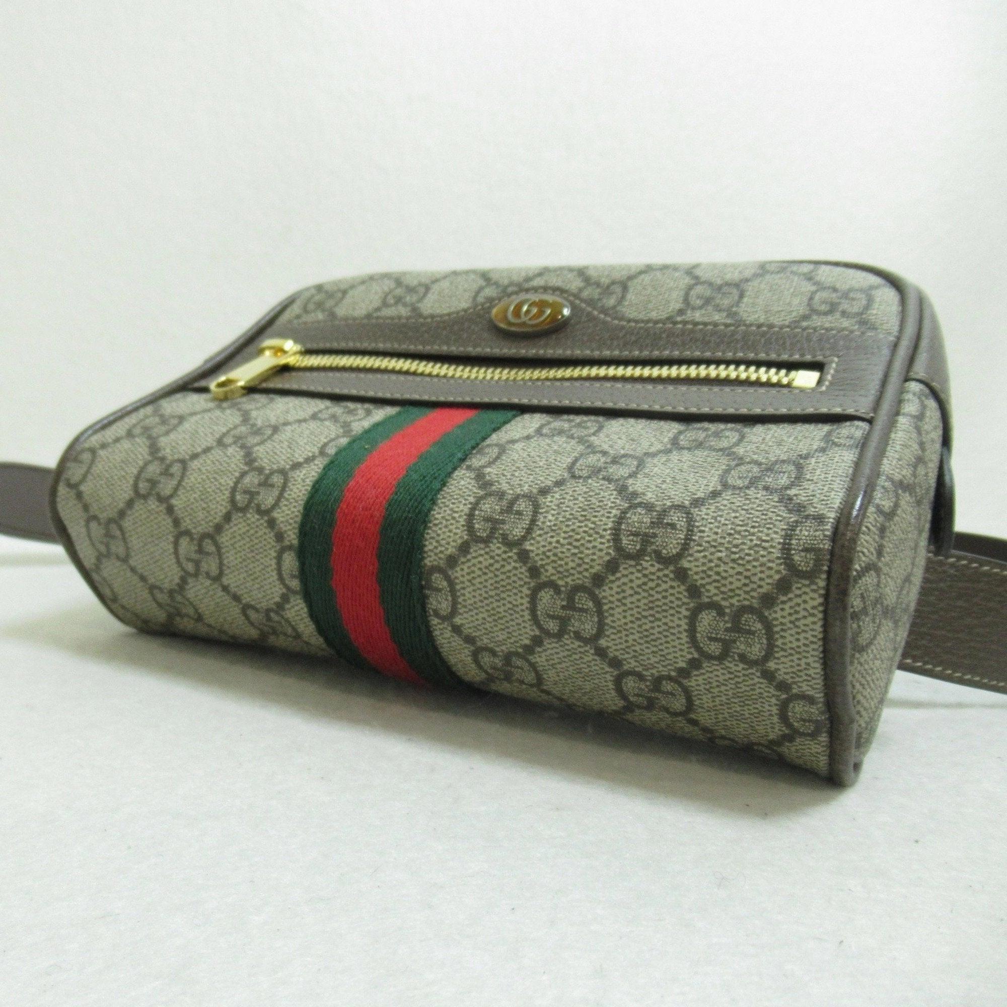 Gucci Ophidia  Canvas Shoulder Bag ()