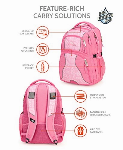 High Sierra Swerve Backpack