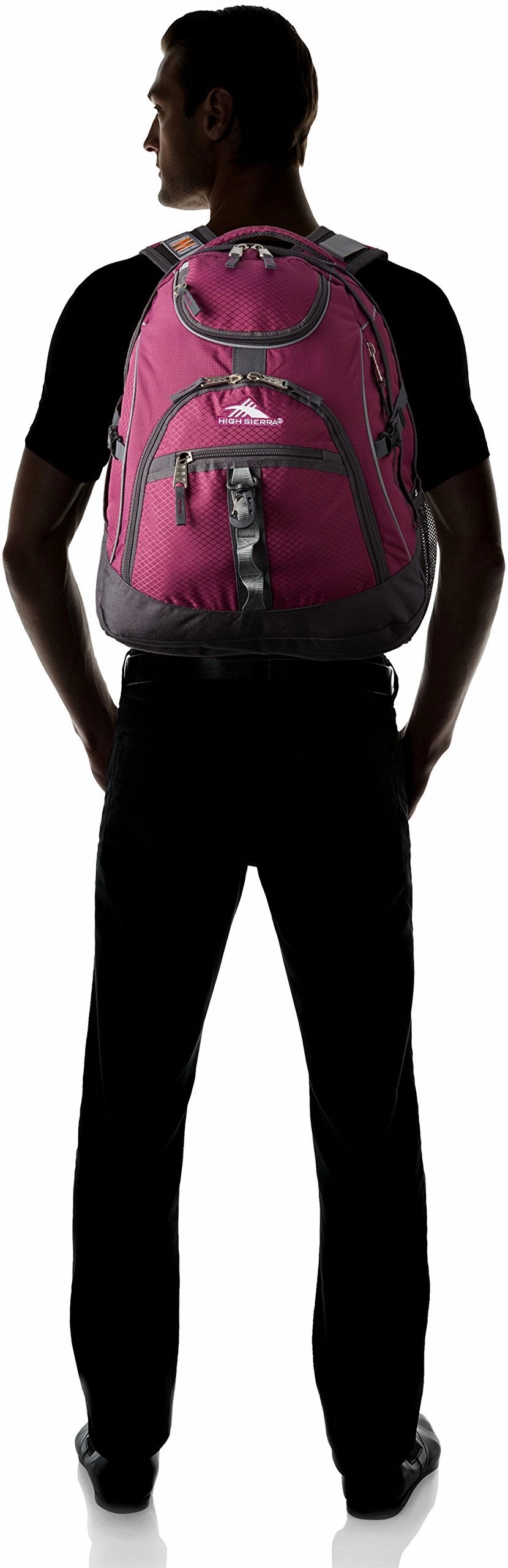 High Sierra Swerve Backpack