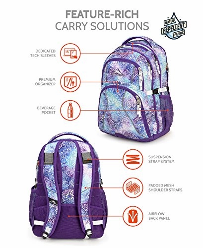 High Sierra Swerve Backpack