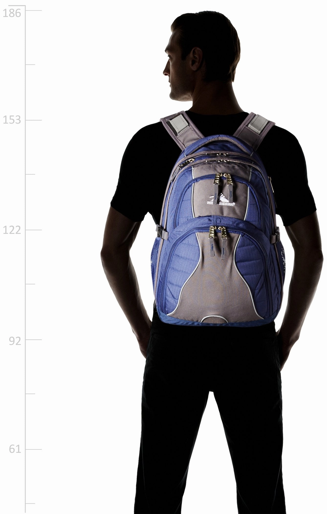 High Sierra Swerve Backpack