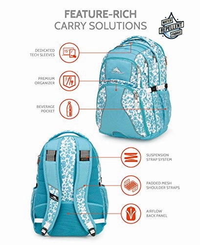 High Sierra Swerve Backpack