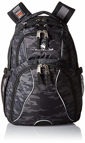 High Sierra Swerve Backpack