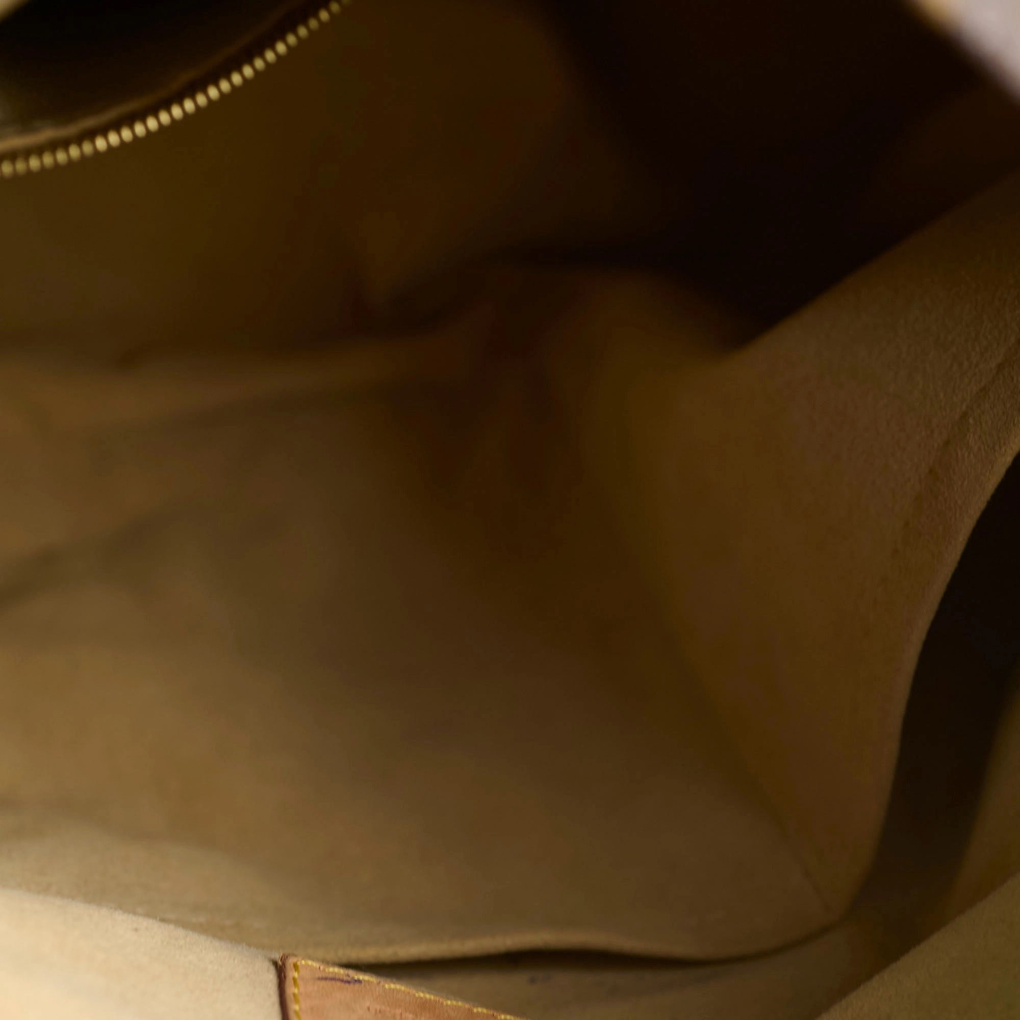 Louis Vuitton Artsy MM Monogram