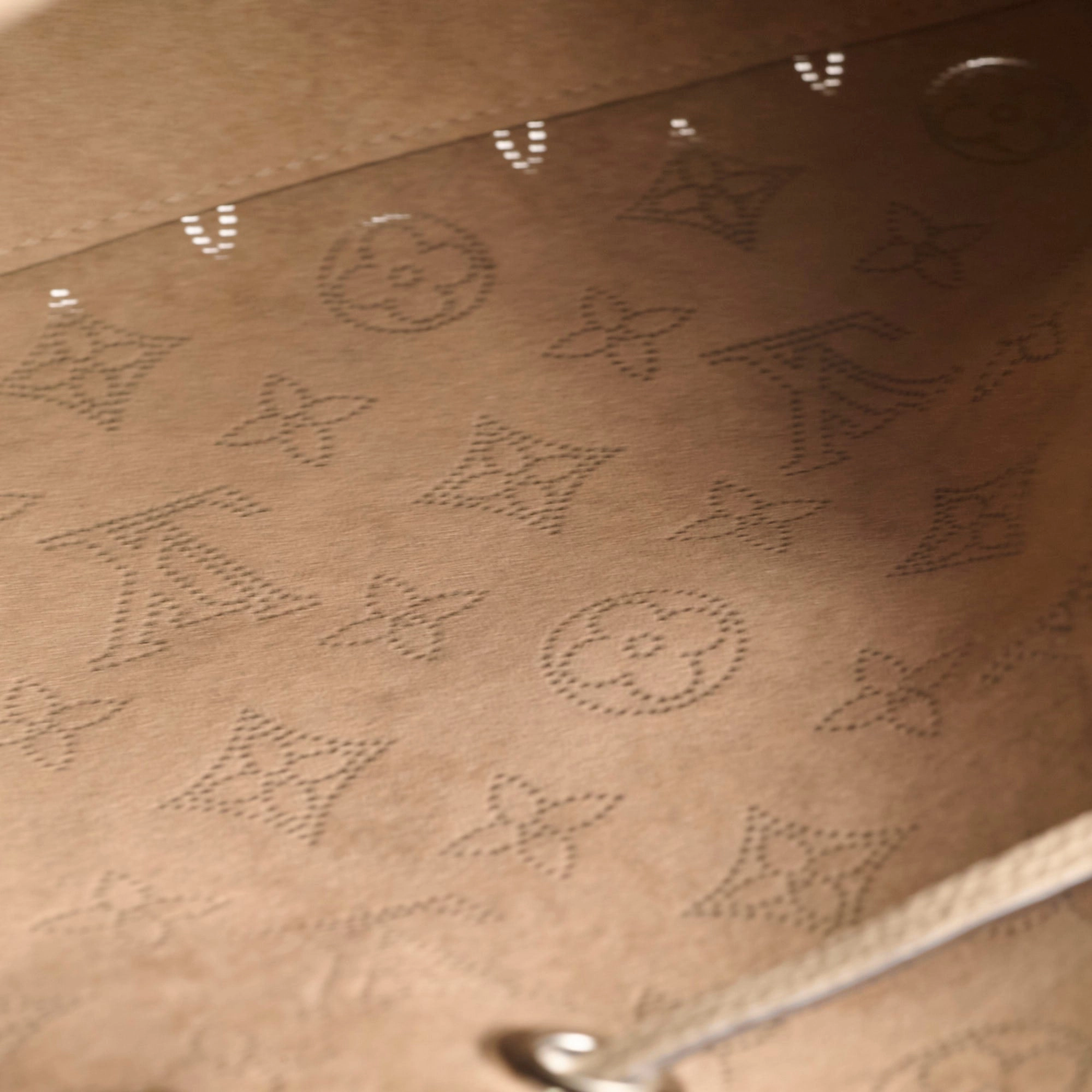 Louis Vuitton Bella Mahina Bucket Bag
