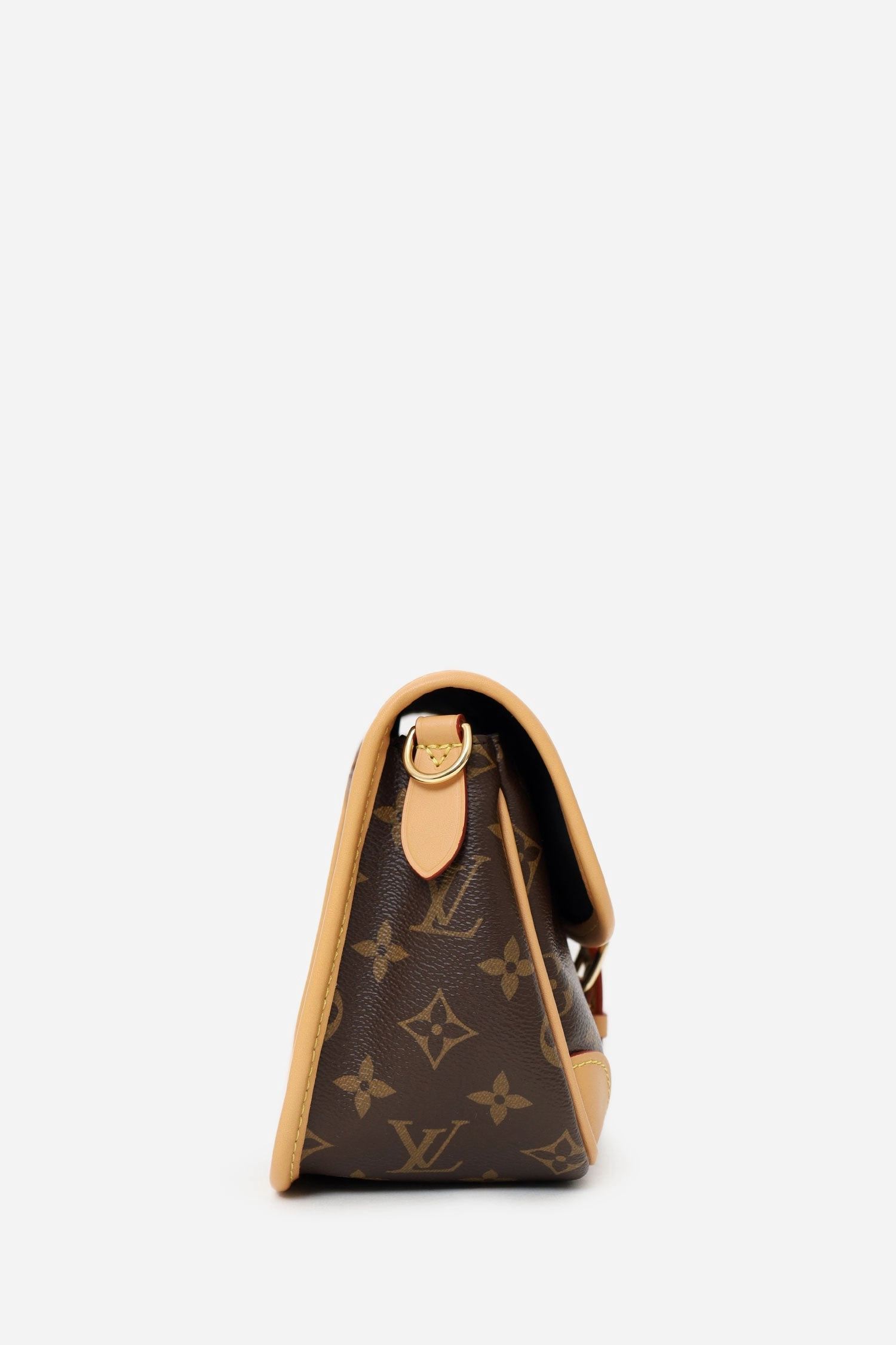 Louis Vuitton Brown Monogram Diane Crossbody with Strap