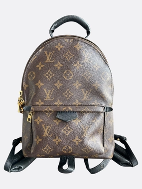 Louis Vuitton Brown Monogram Palm Springs Mini Backpack