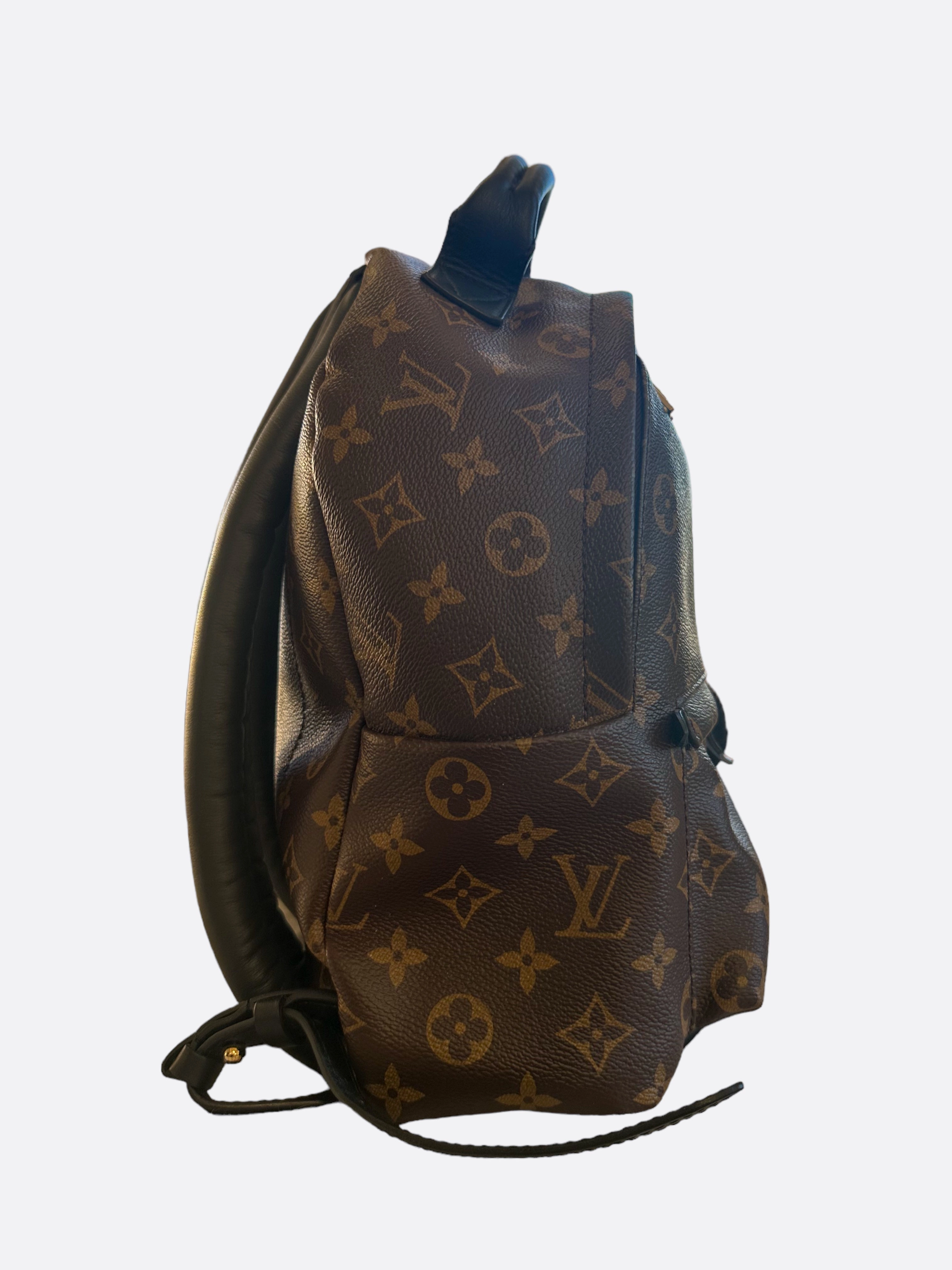 Louis Vuitton Brown Monogram Palm Springs Mini Backpack