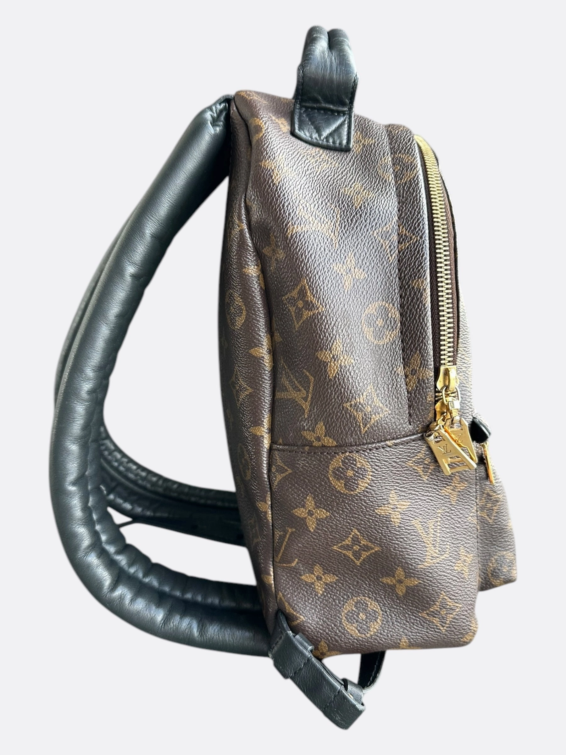 Louis Vuitton Brown Monogram Palm Springs Mini Backpack