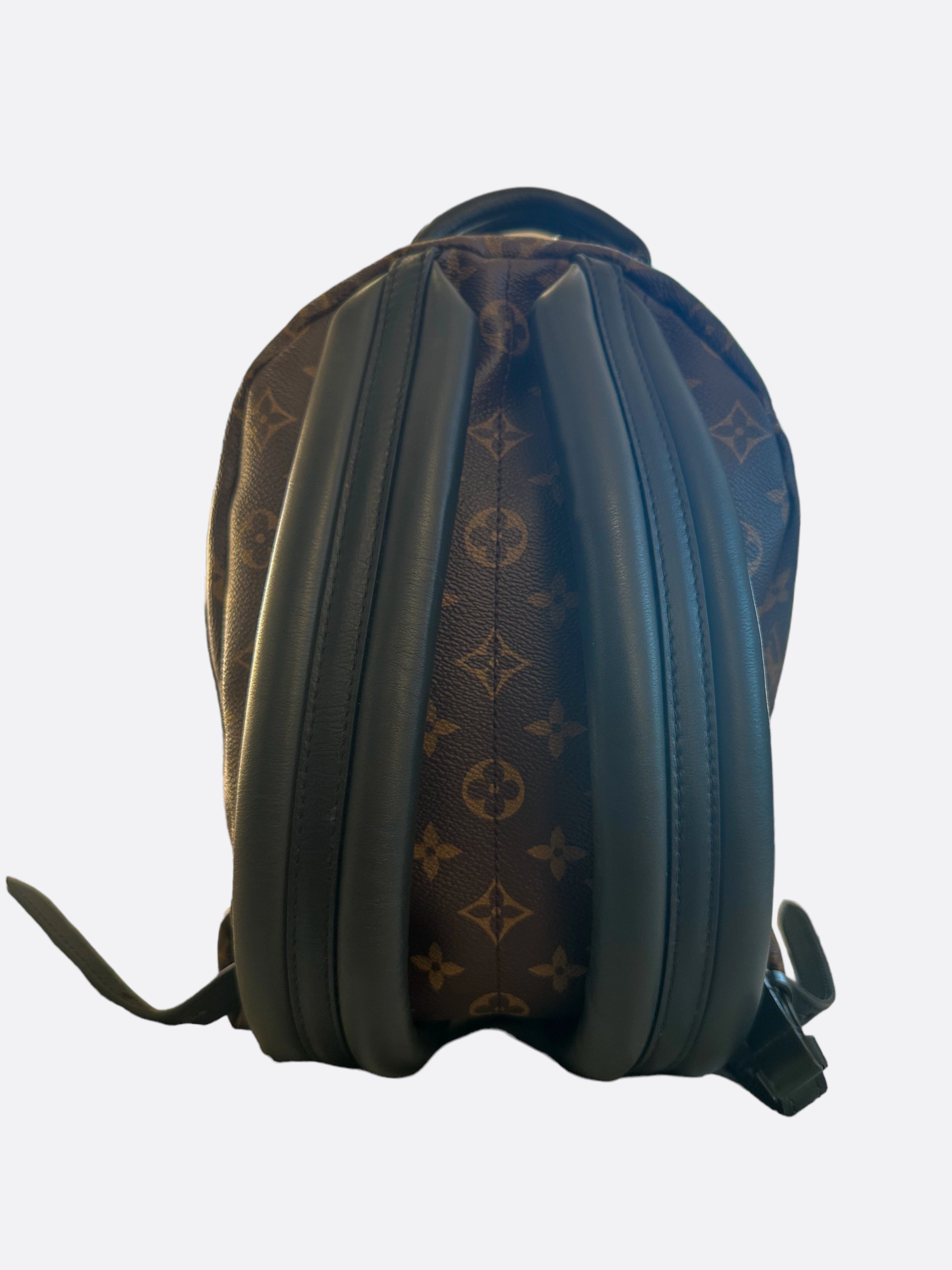 Louis Vuitton Brown Monogram Palm Springs Mini Backpack