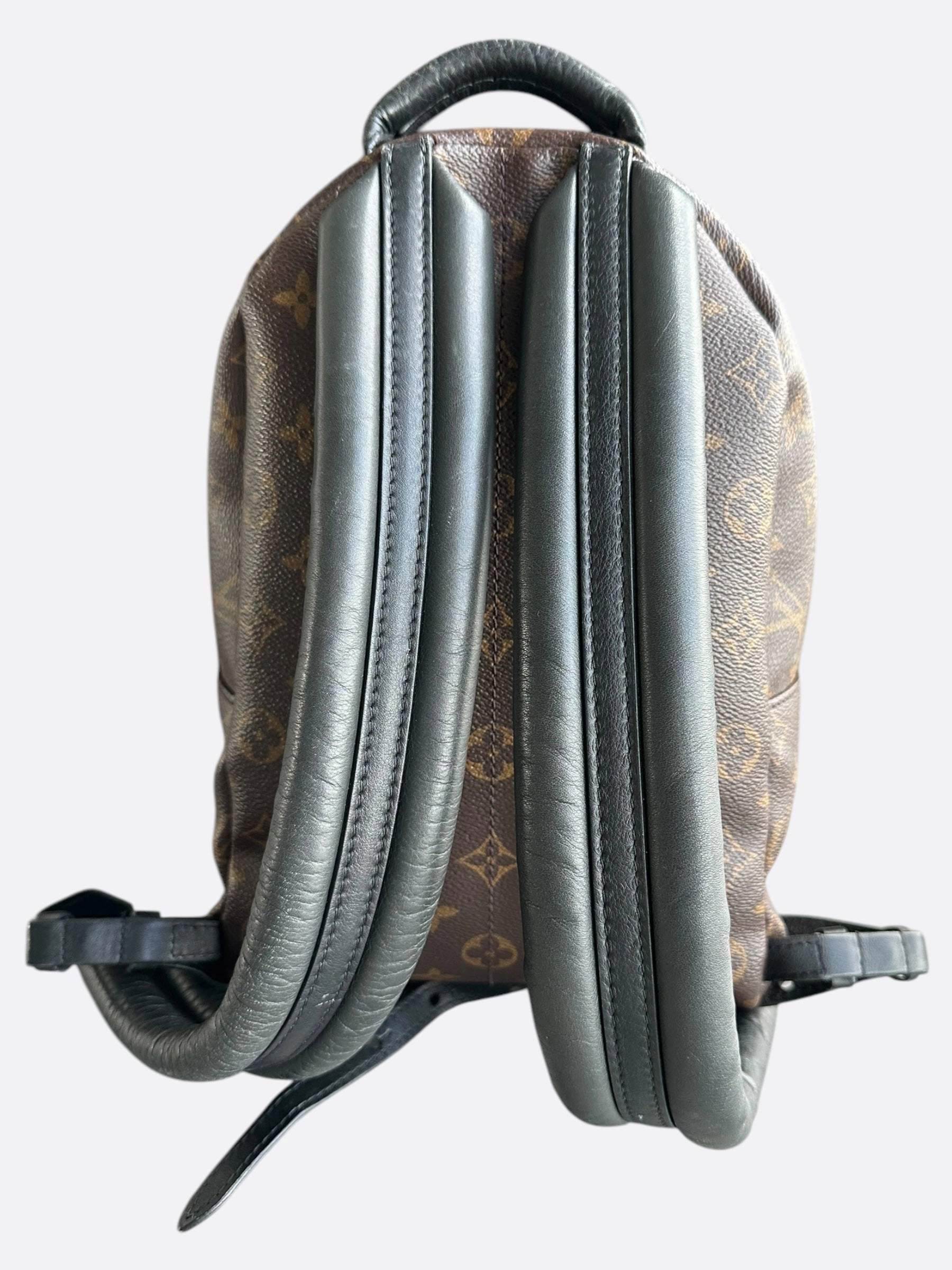 Louis Vuitton Brown Monogram Palm Springs Mini Backpack