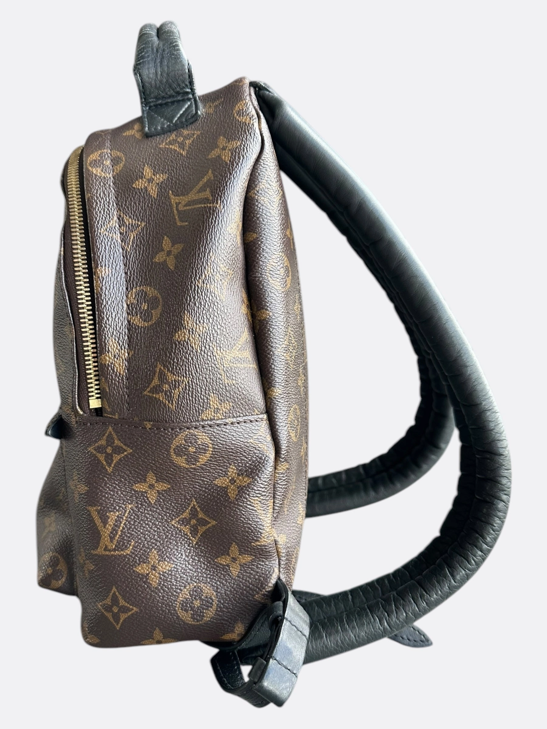 Louis Vuitton Brown Monogram Palm Springs Mini Backpack