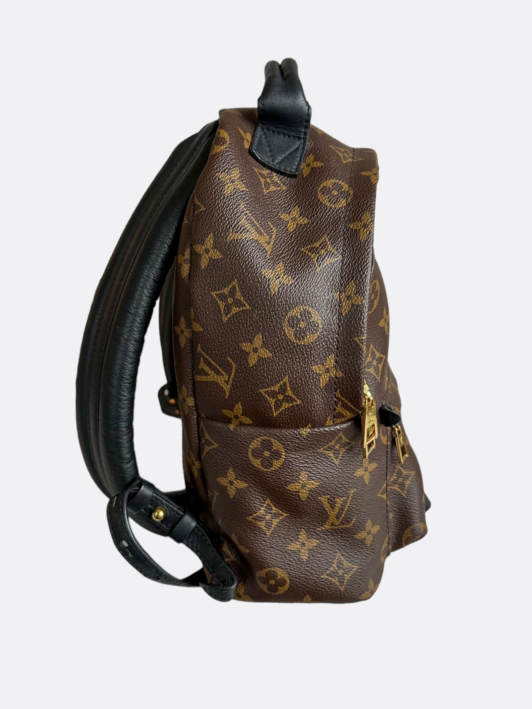 Louis Vuitton Brown Monogram Palm Springs Mini Backpack